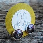 pearl studs freshwater pear..