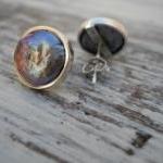 pearl studs freshwater pear..